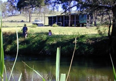 picture of Platypus Cabin